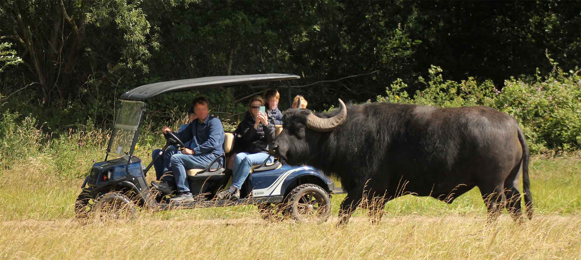 Watatunga Safari Group Tour