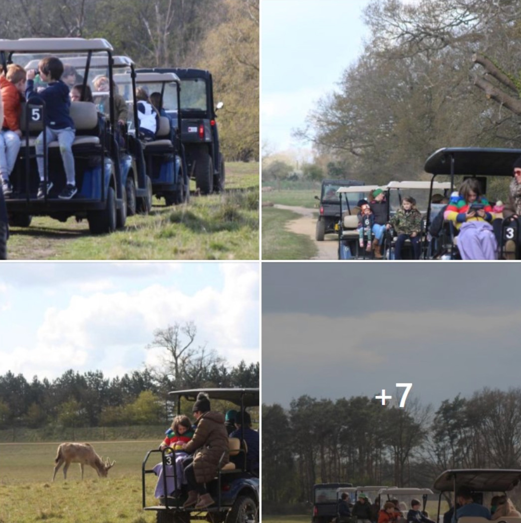 Safari Trailer Group Tour