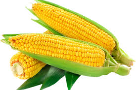 Corn cobs