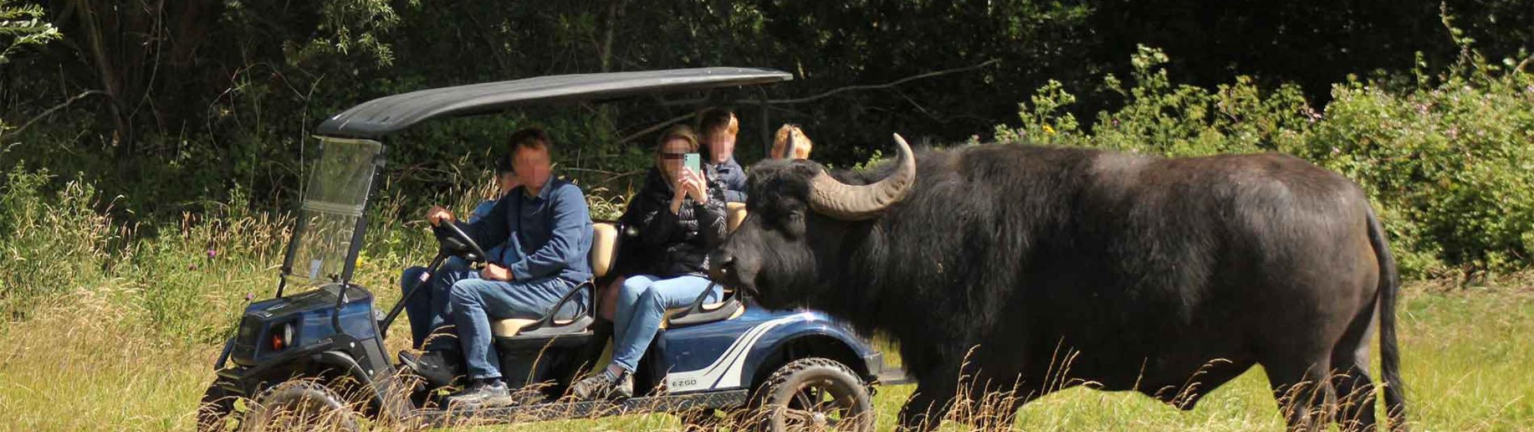 Watatunga Wildlife Tours and Accommodation in Norfolk