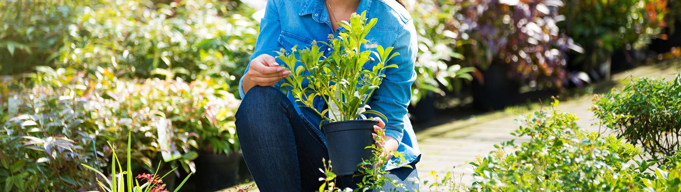Garden Centre Event